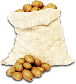 Patates